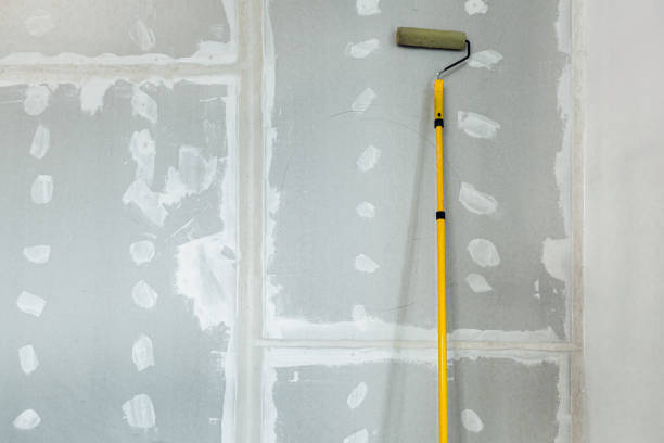 Reliable Alamance, NC Painting & Drywall Installation Solutions